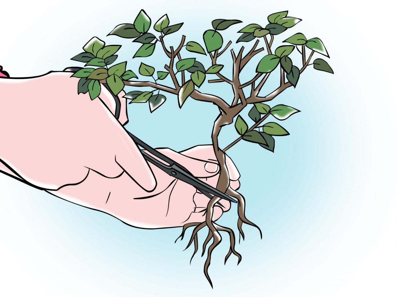 Kapan Waktu Terbaik Melakukan Pruning Pada Bahan Bonsai Lokal?