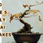 “Avoid These 5 Deadly Bonsai Mistakes” : “Beginner Bonsai Care Tips ...