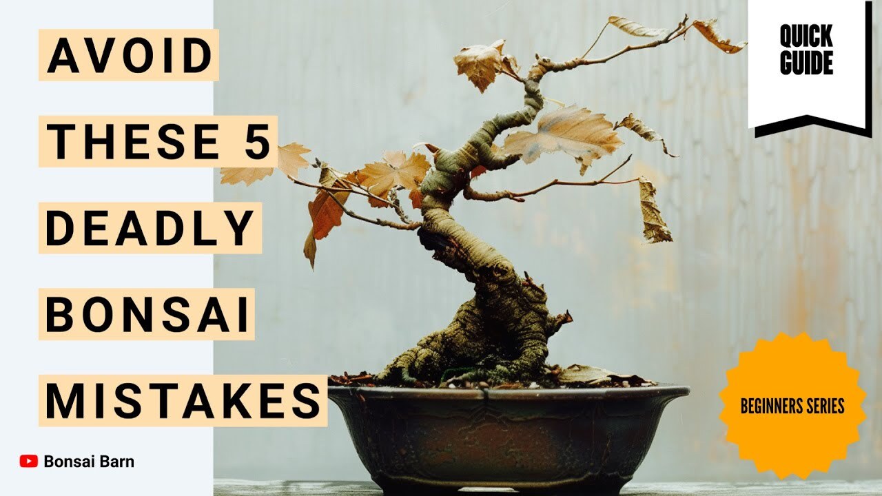 5 Kesalahan Fatal Pemula Yang Sering Membuat Bonsai Mati