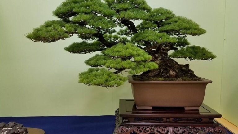 Teknik ‘Anchor’ (Jangkar) Cara Mengunci Kawat Pada Batang Agar Tidak Goyah