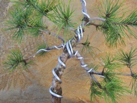 Teknik Wiring Ganda (Double Wiring) Untuk Cabang Yang Kaku